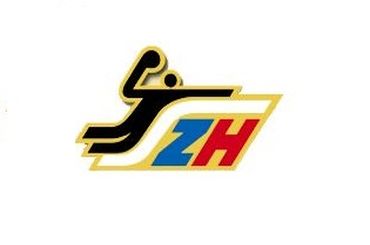 slovensky zvaz hadzanej szh logo 4