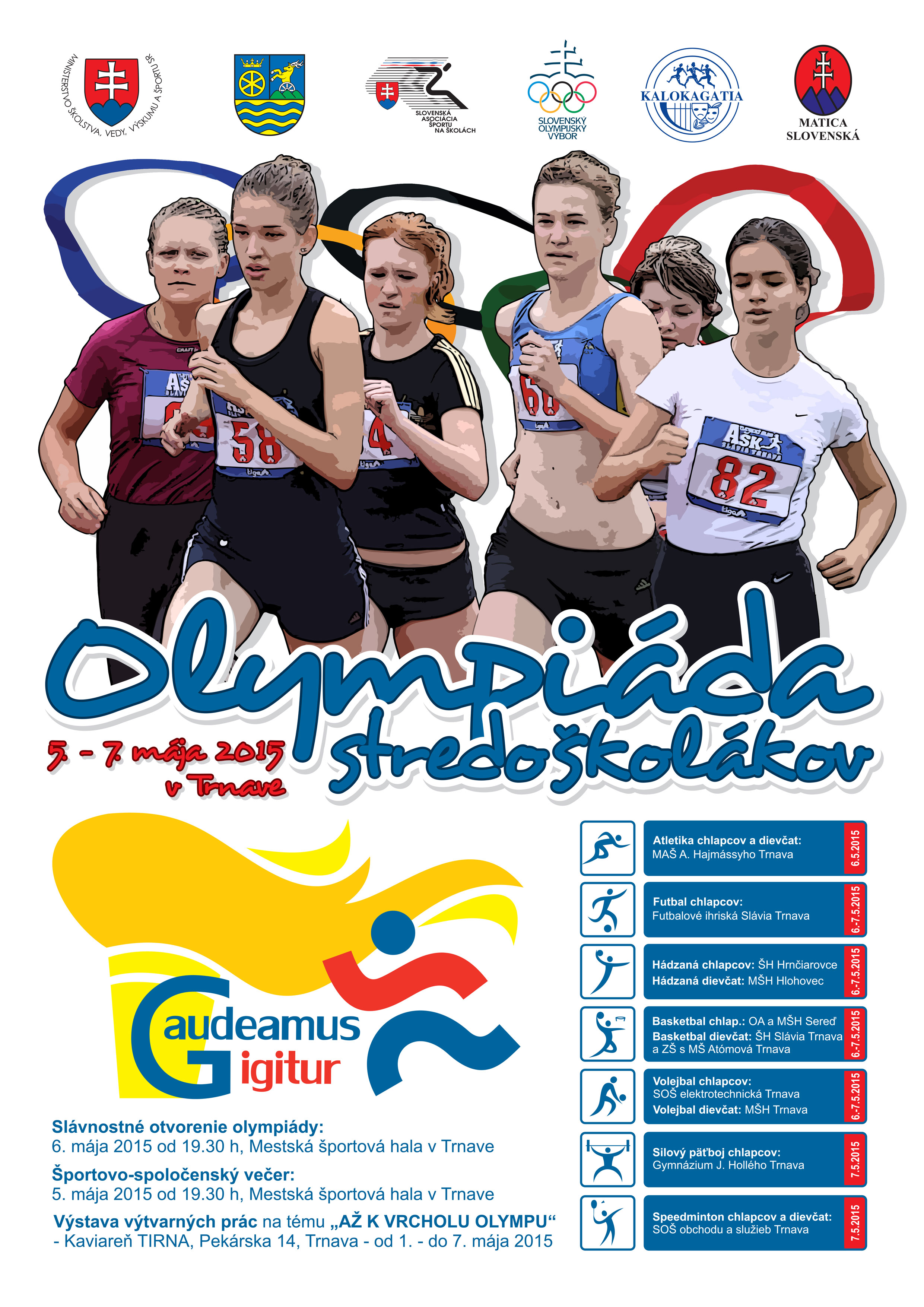 Gaude plagat 2015 copy