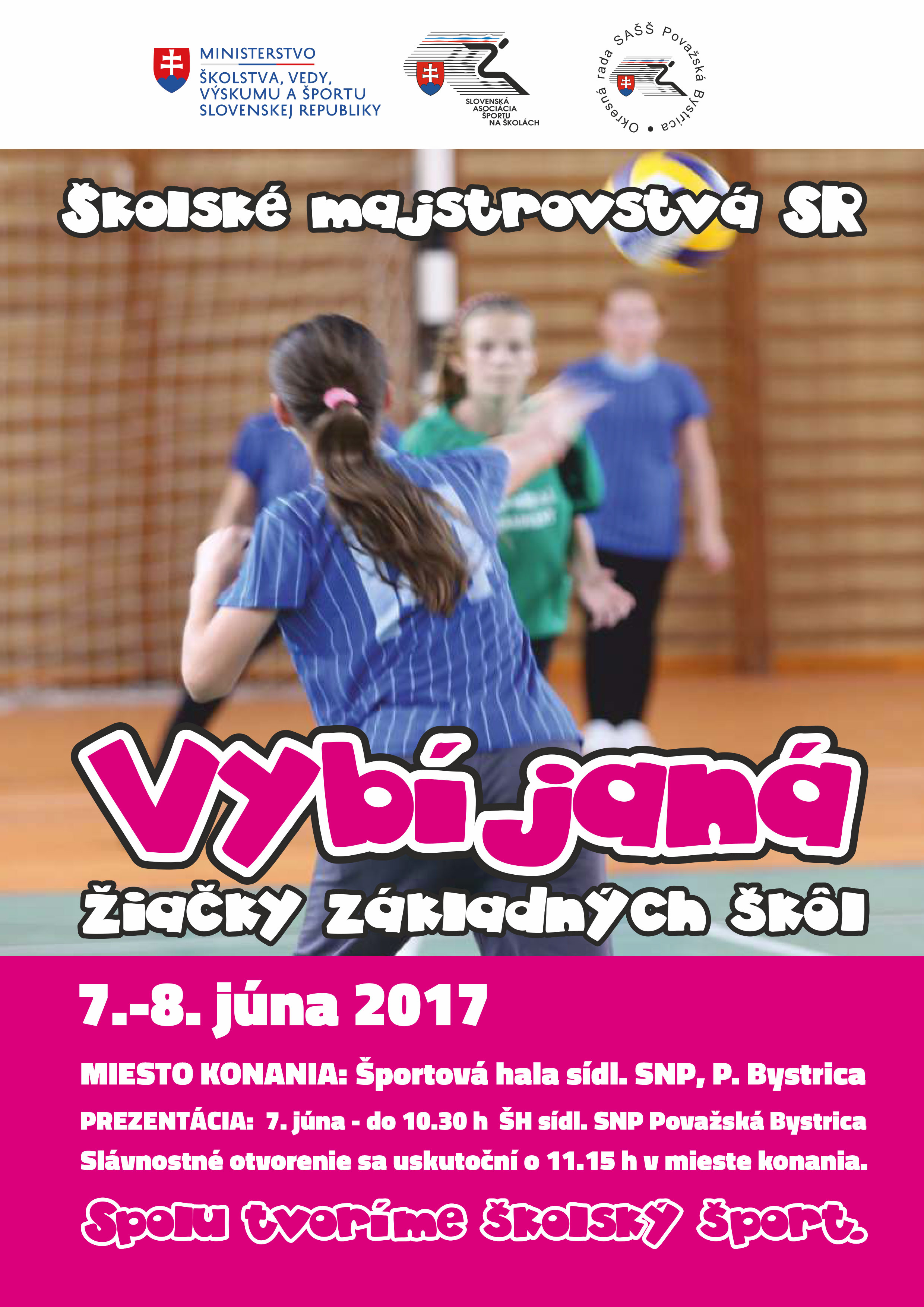 Vybijana plagat Skolske MSR 2017