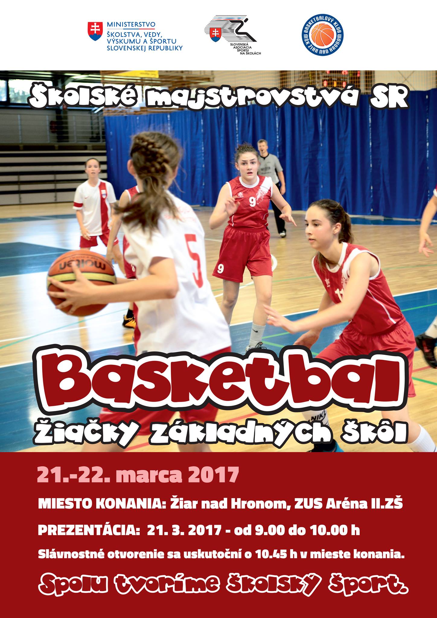 MSR basketbal ZS D plagatik