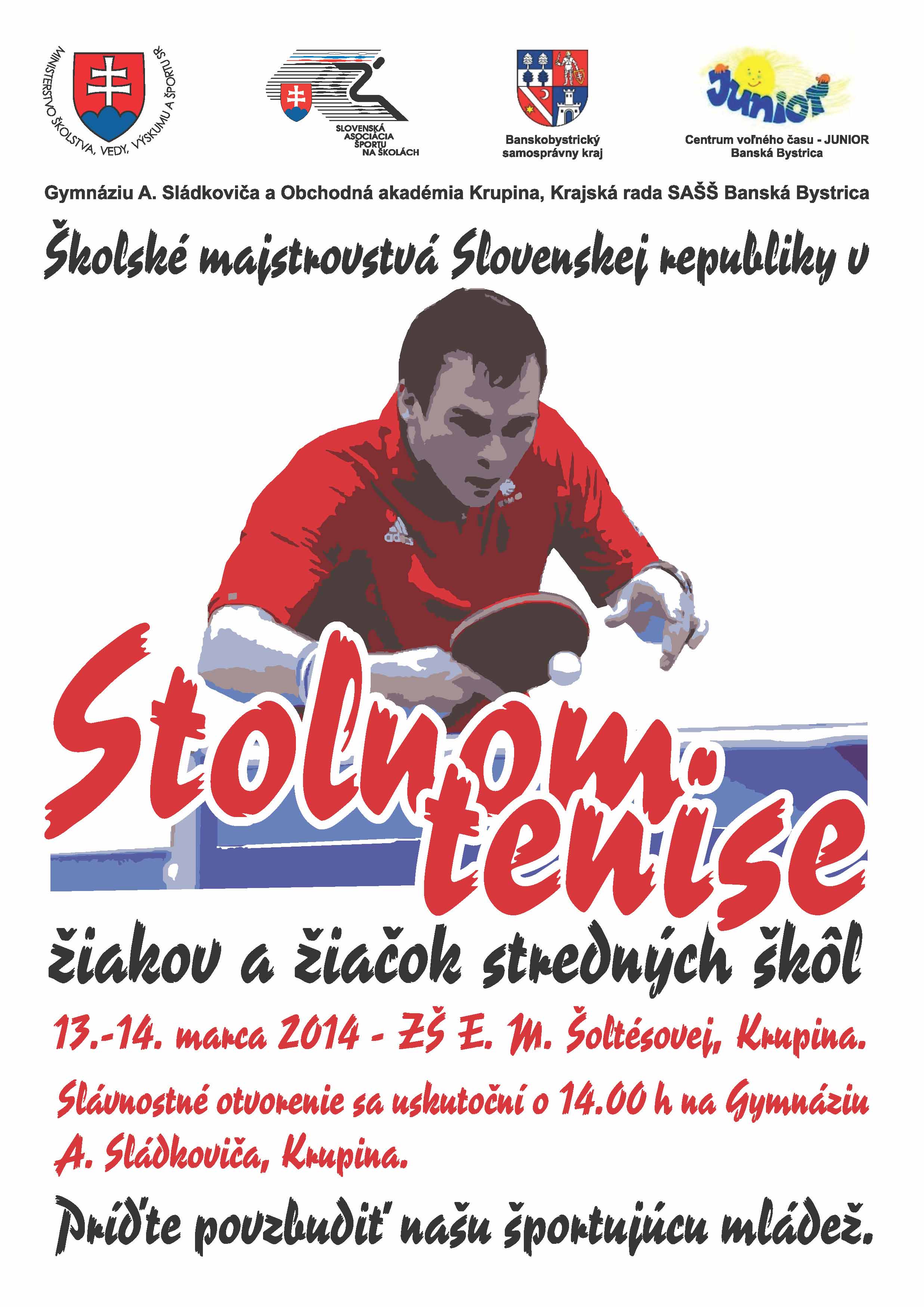 Stolny tenis Plagat SS