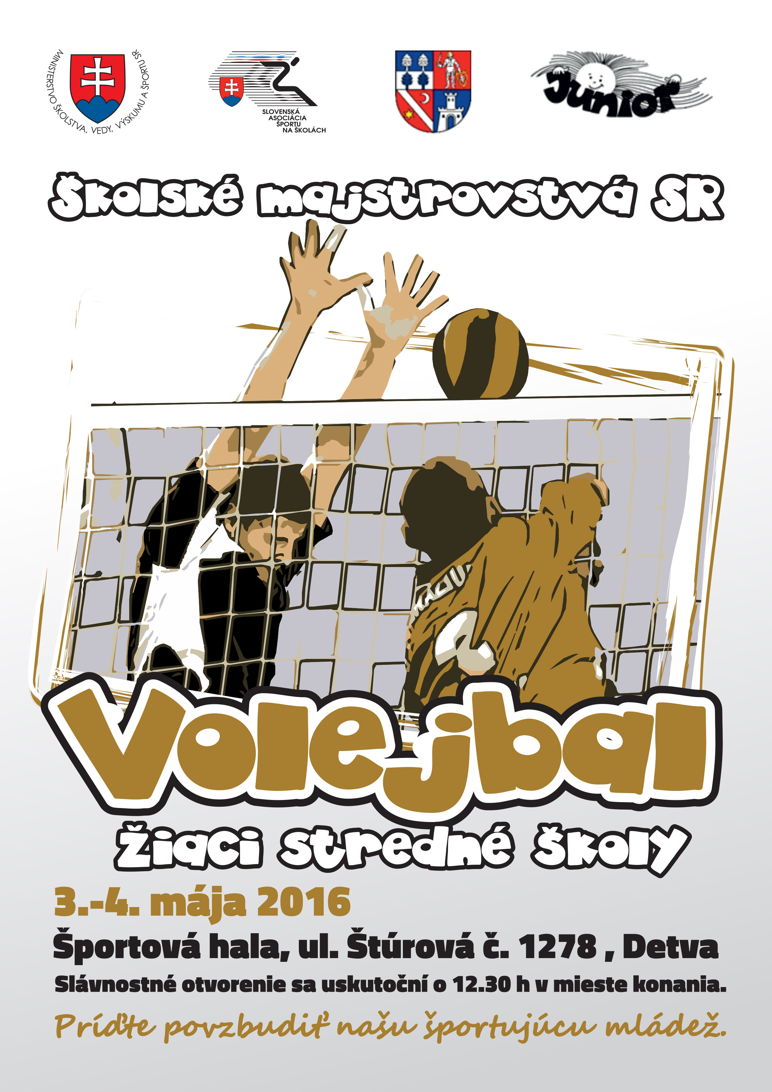 Volejbal SS chlapci plagat
